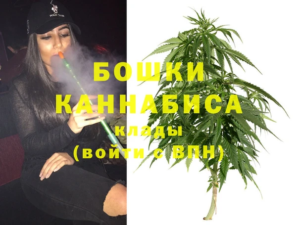дживик Баксан