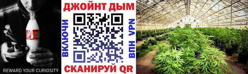Конопля THC 21%  Белинский 